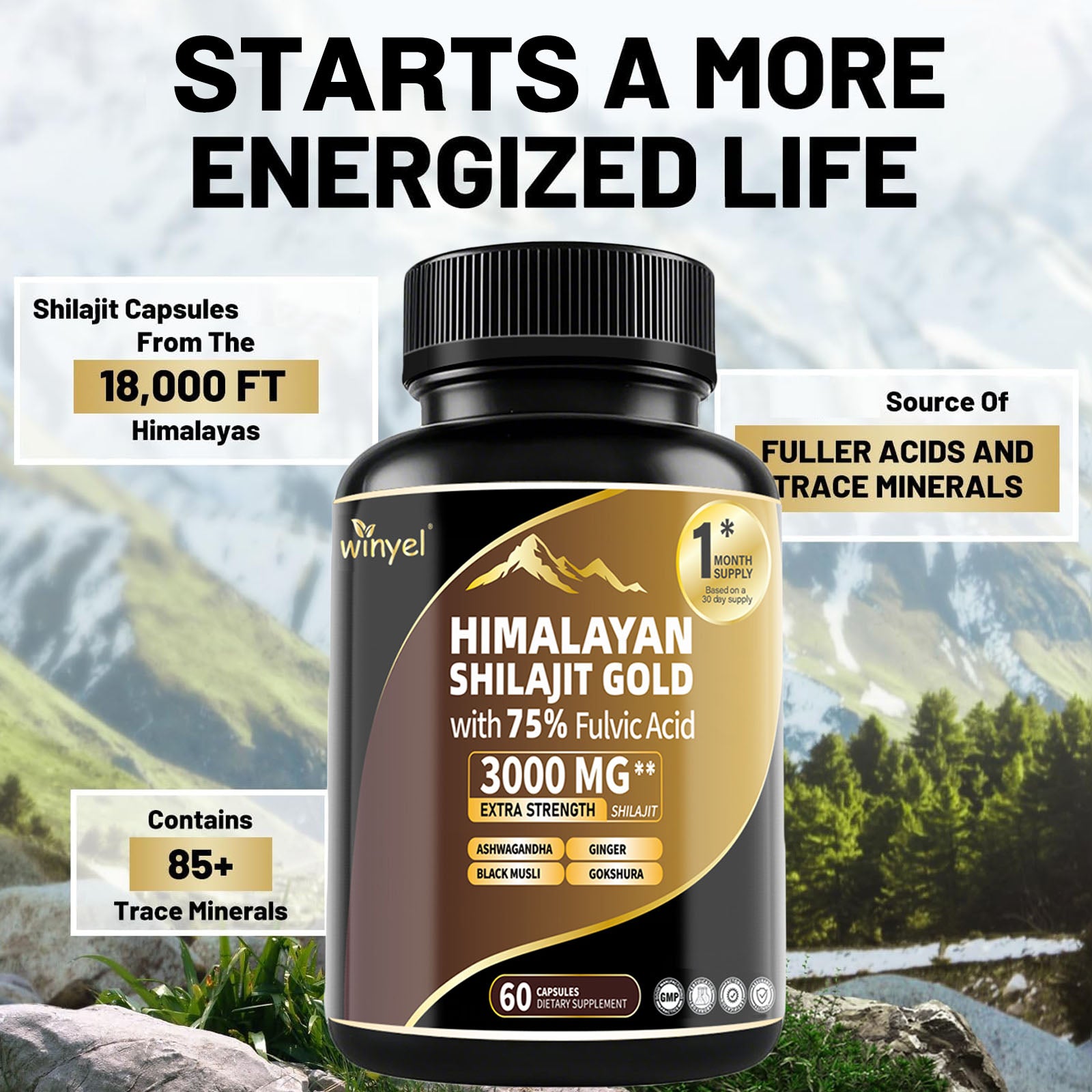 Shilajit Capsules, Ashwagandha, Gokshura, 85 Trace Minerals, High Potency Gold Grade Himalayan Shilajit Supplements, 60 Capsules For Women And Men
