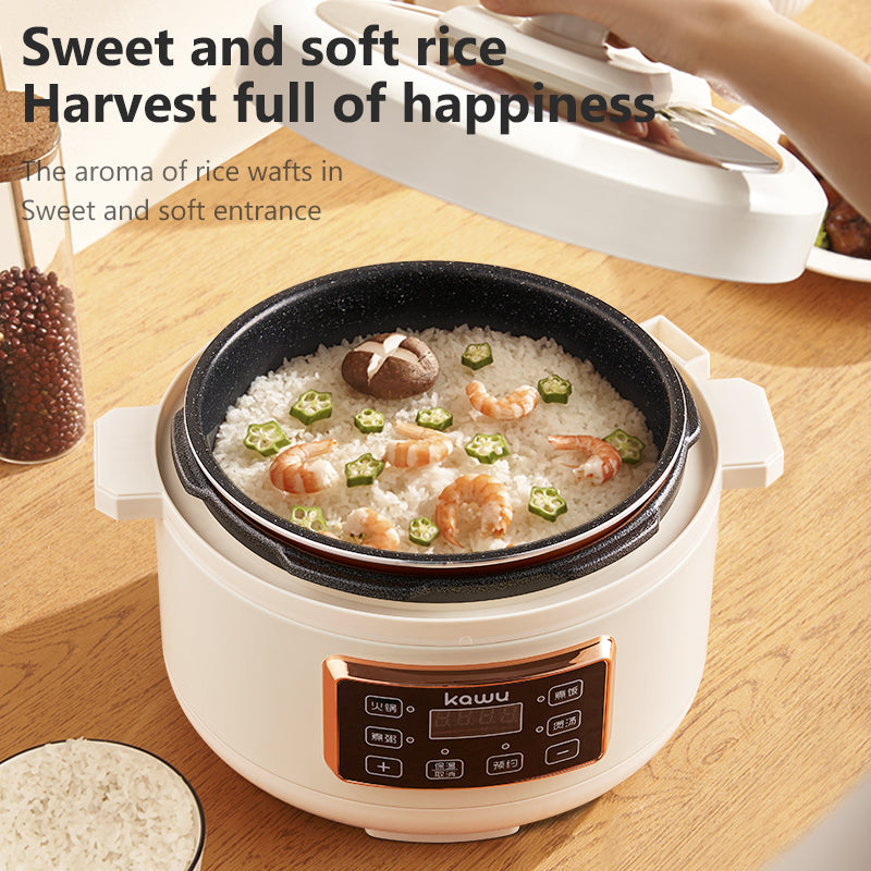 Kawoo AX30-9029 Electric Pressure Cooker