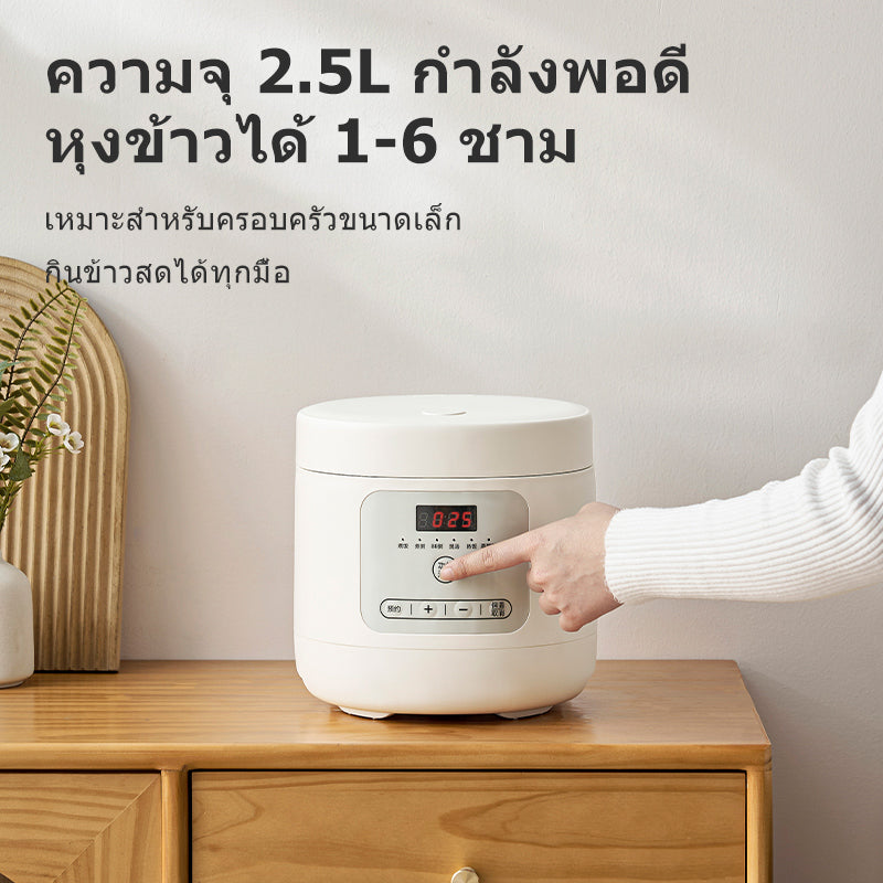 Fusu TCS25-40 Mini Rice Cooker