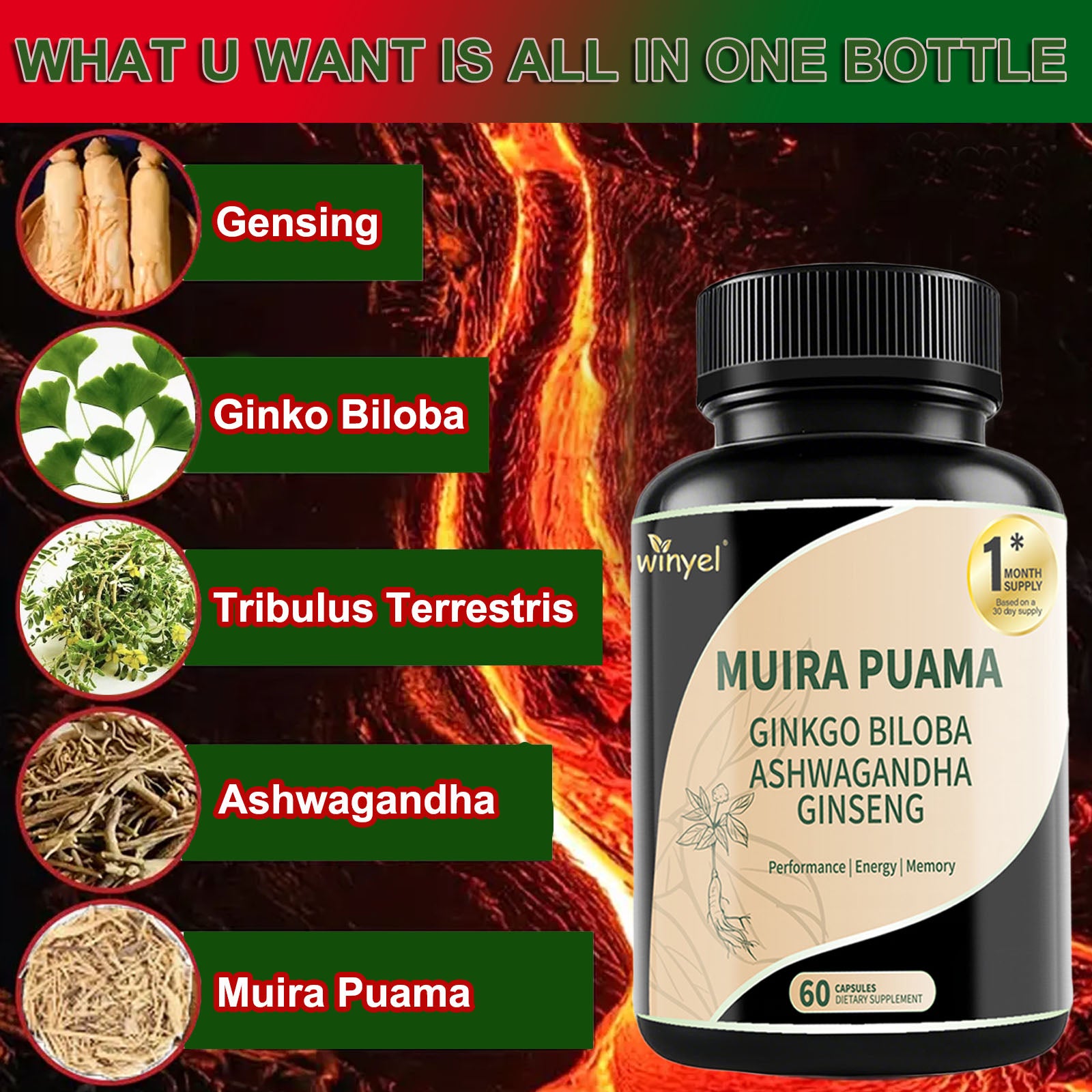 Muira Puama Ginseng Ashwagandha Ginkgo Tribulus  Herbal Supplements  Unleash Your Potential Through Our Pills  Dietary Supplements, Help Promote An Active And Healthy Lifestyle  60 Capsules