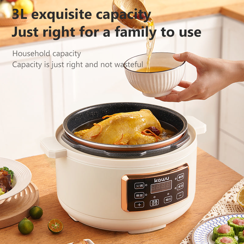 Kawoo AX30-9029 Electric Pressure Cooker