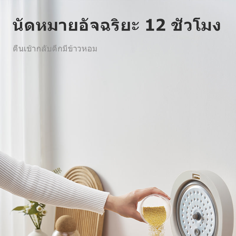 Fusu TCS25-40 Mini Rice Cooker