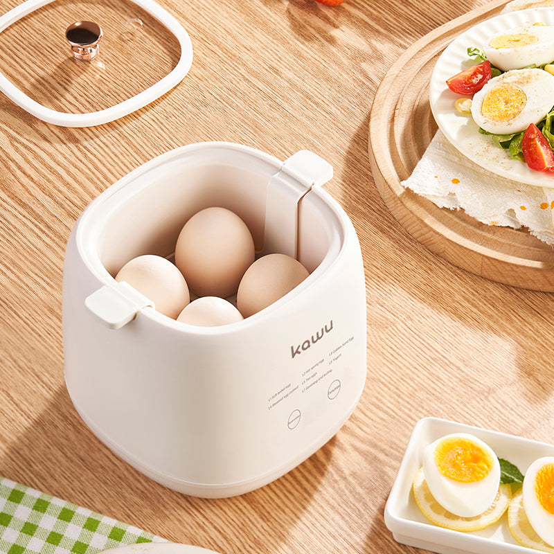 KaWu LG-806 Multi-Functional Electric Stew Pot With Steamer Basket