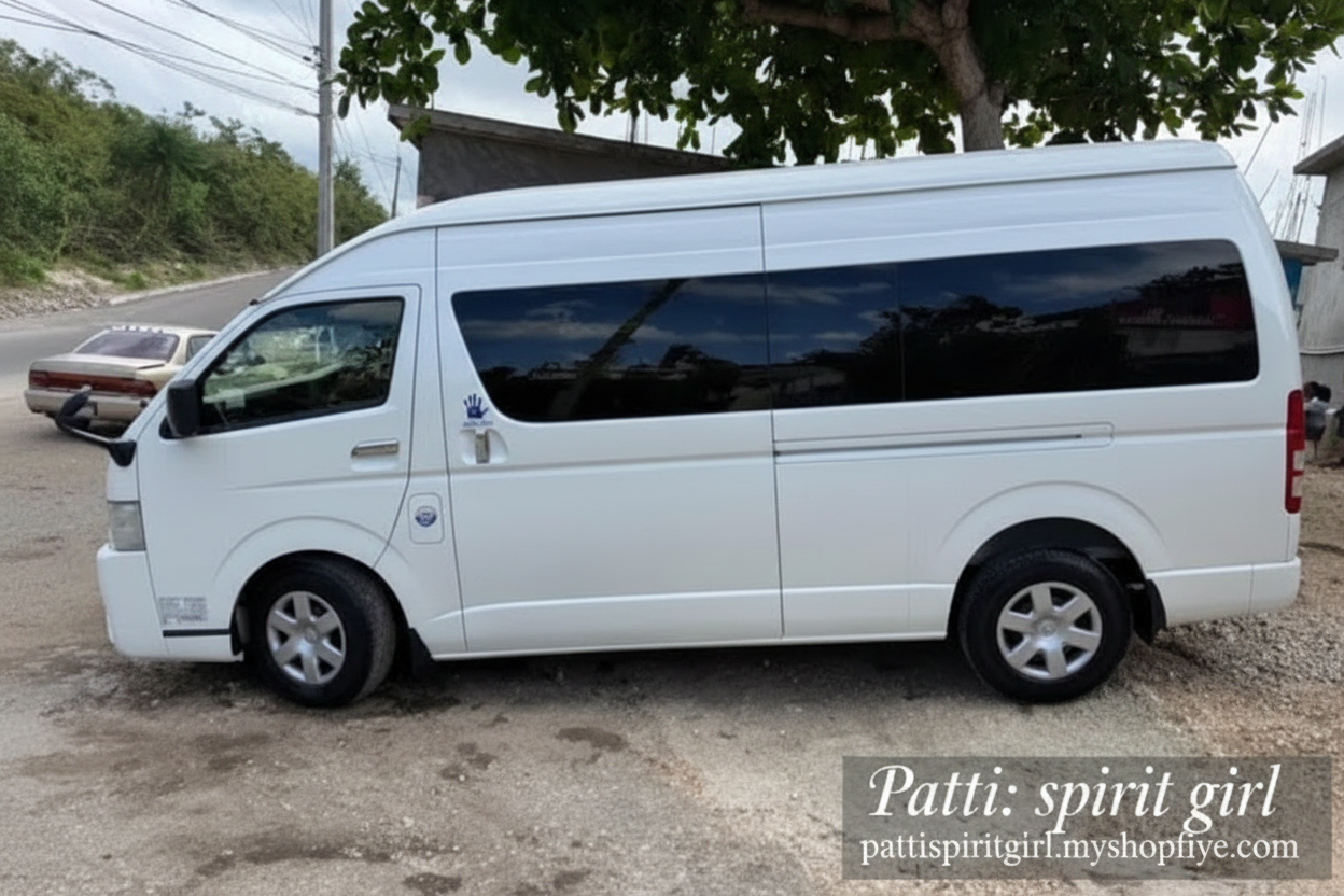 Toyota Hiace GL - Maxi Tours Van