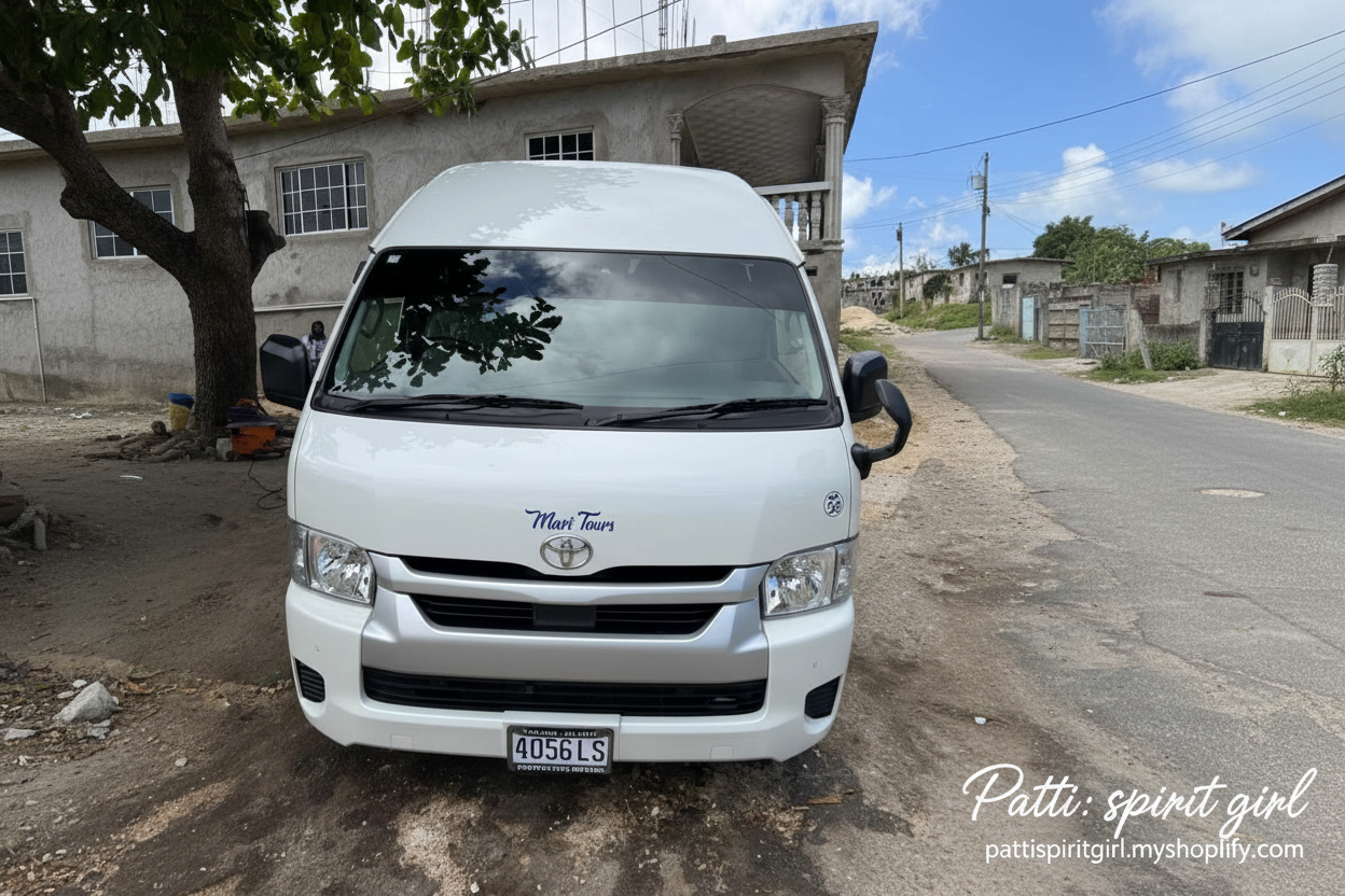 Toyota Hiace GL - Maxi Tours Van