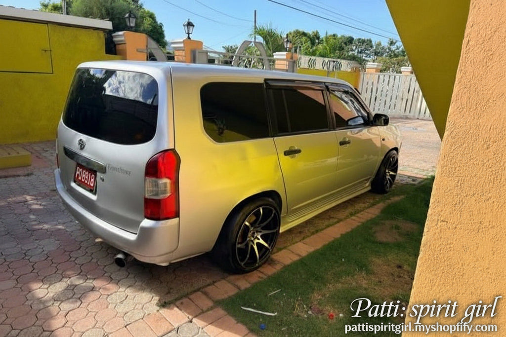 Toyota Probox - Silver