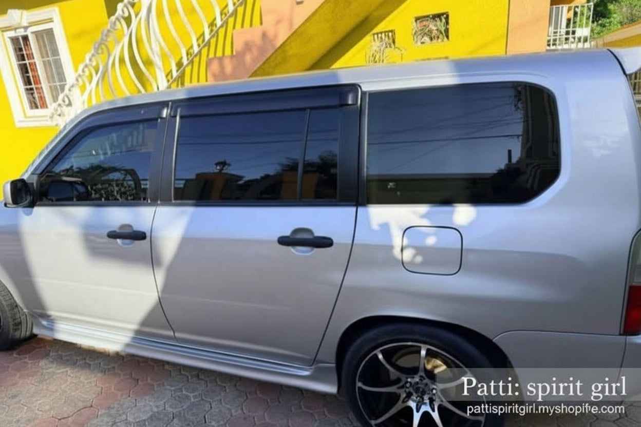 Toyota Probox - Silver