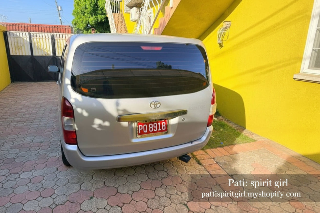 Toyota Probox - Silver